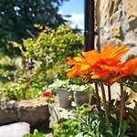 Tatil Evi Von Der Festung Zum - Ihr Zuhause In By Interhome San Leo